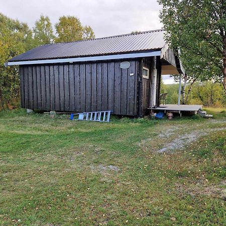 Bungalaven Lodge As Børselv エクステリア 写真